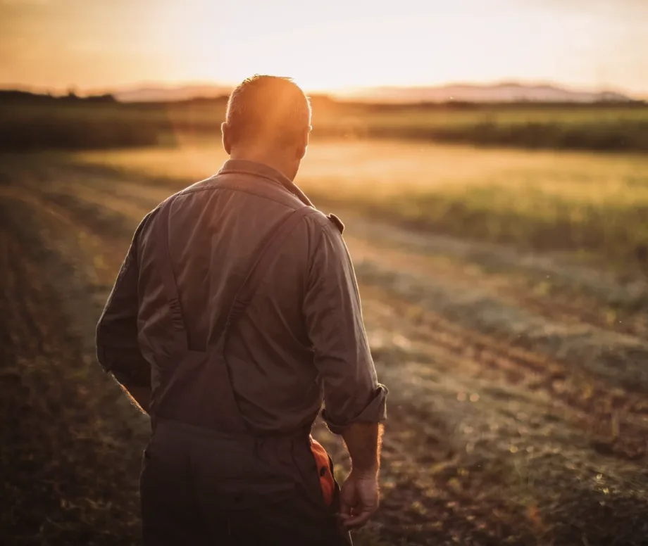 Farmer walking through a golden field at sunset, symbolizing resilience and dedication — Embrace FARM