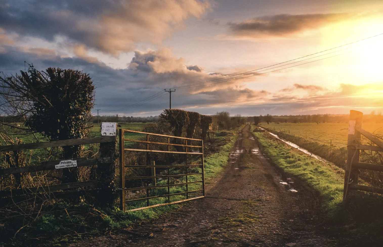 Anonymous Survey to Understand How a Bovine TB Breakdown Affects Farmer Wellbeing