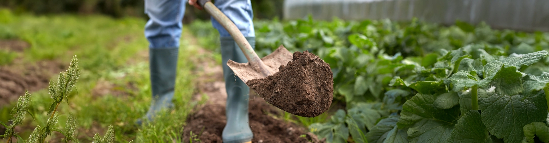 Farmer working with a shovel in a lush green garden, symbolizing hard work and dedication — Embrace FARM Support